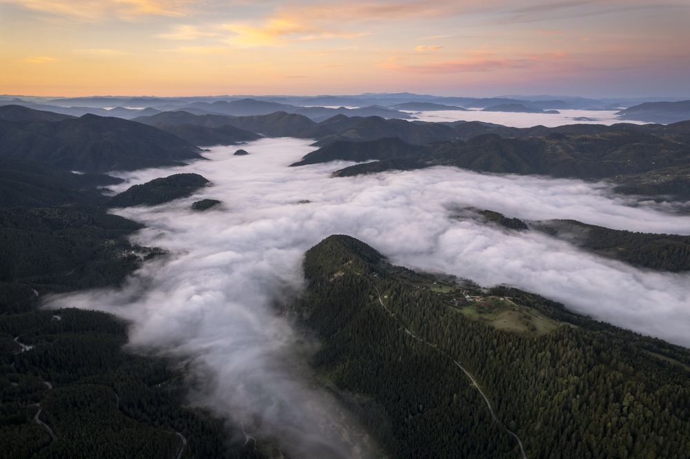 Photograph by Dejan Zakic