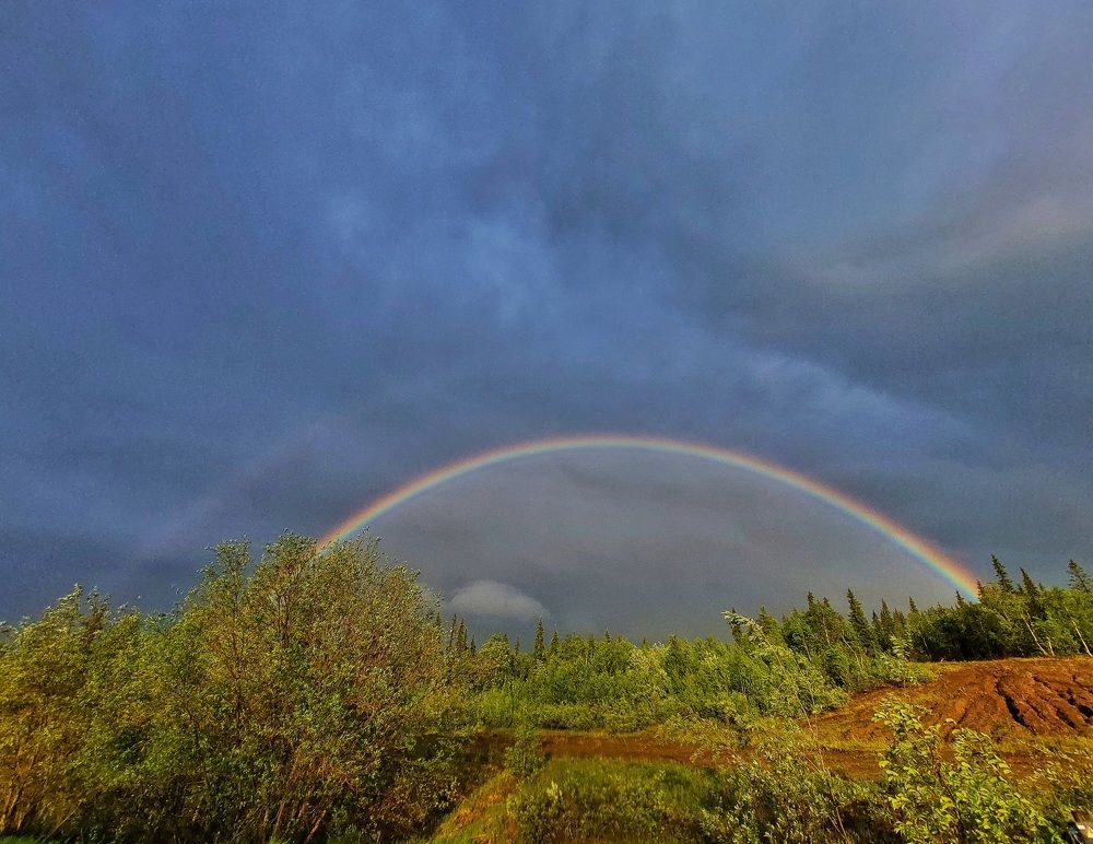 Photograph by Александр Бакин