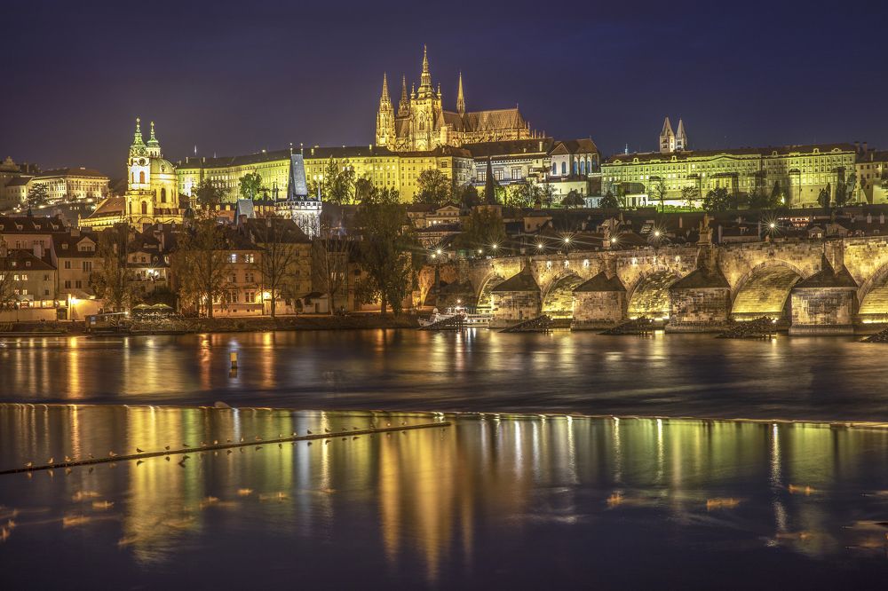 Photograph by Tomas Ha