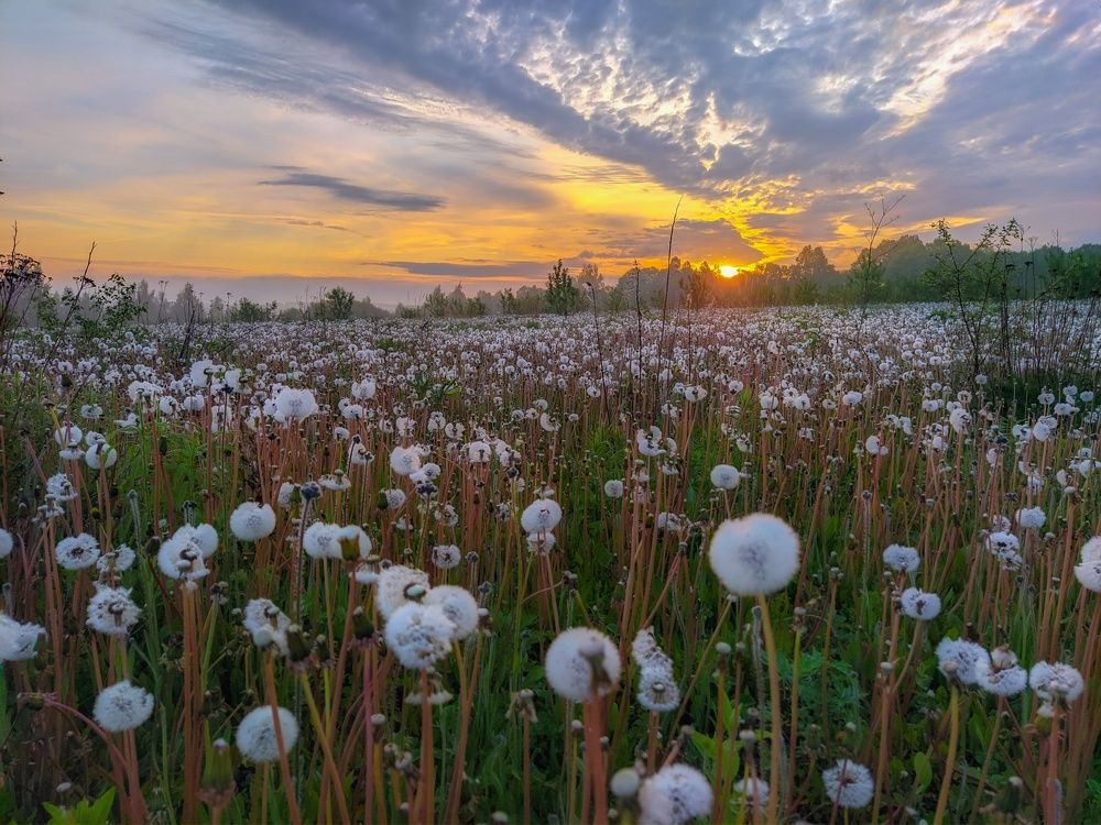 Photograph by Светлана Кондрашова