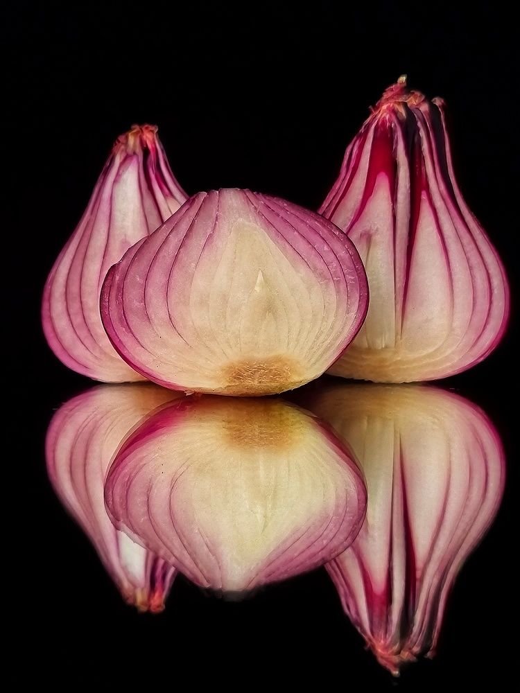 Photograph by Гельфман Галина