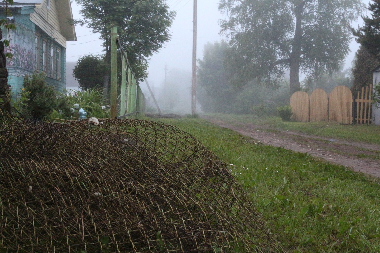 Photo #9228961