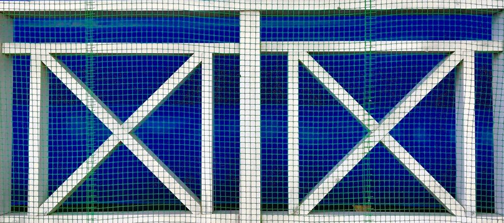 Photograph by Елена Ким