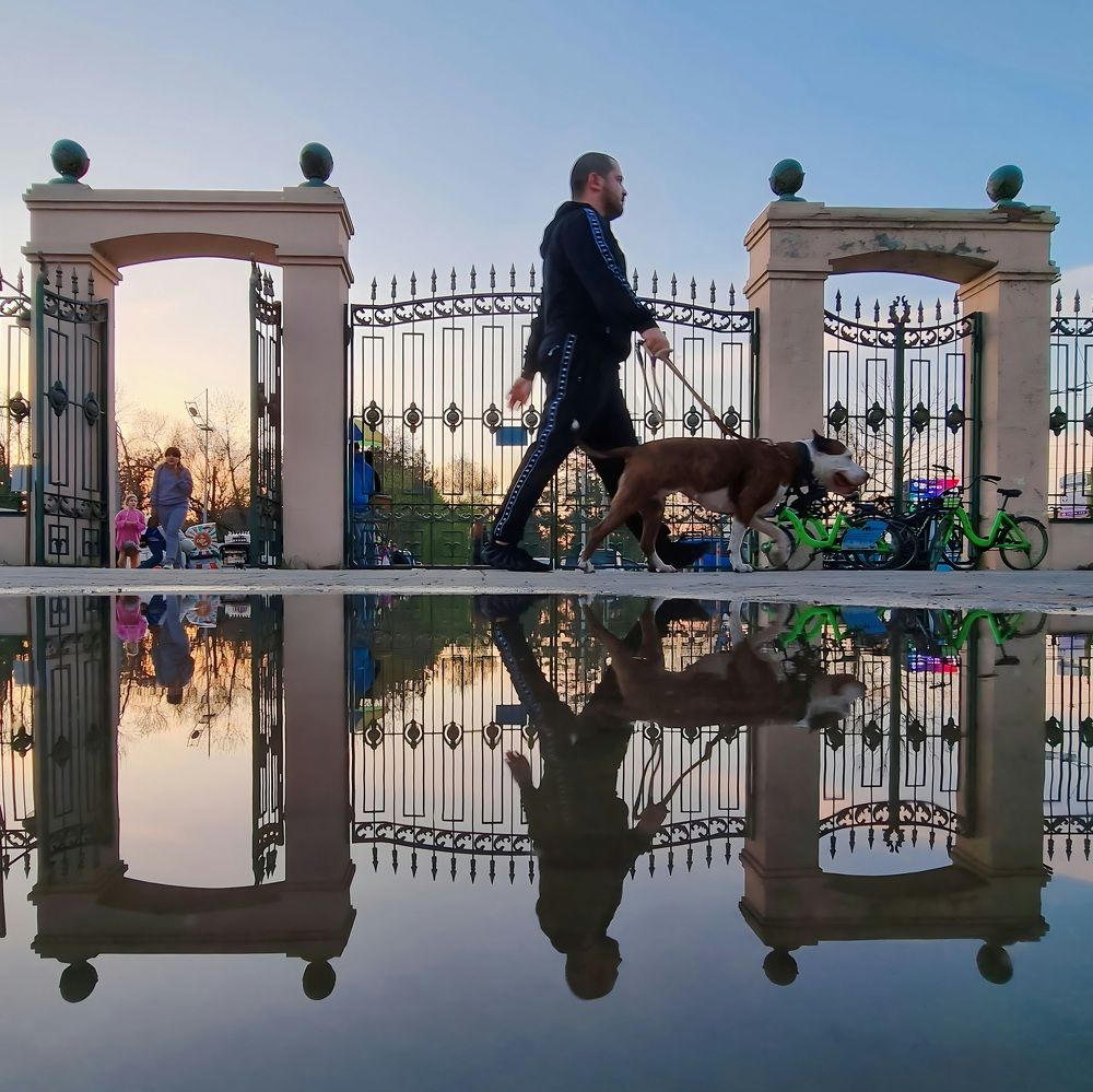 Photograph by Гельфман Галина