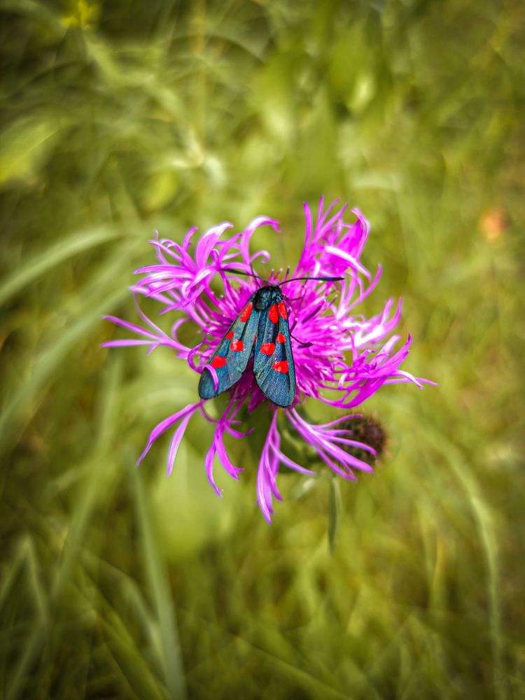 Фотография автора Александр Хухлов