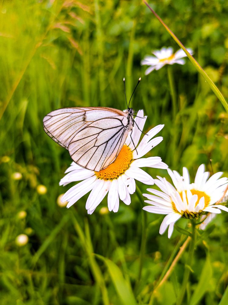 Фотография автора Александр Хухлов