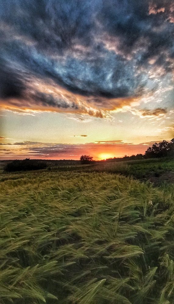 Photograph by Наталья Исиченко