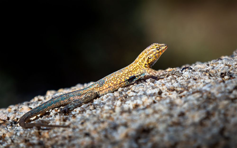 Photograph by Zhenhuan Zhou