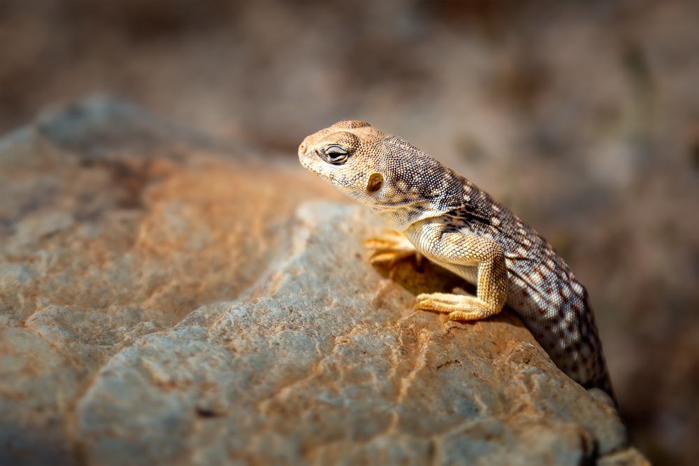 Photograph by Zhenhuan Zhou