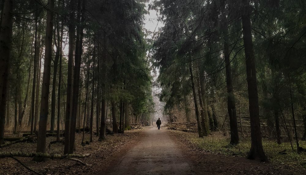 Photograph by Анастасия Каланакова