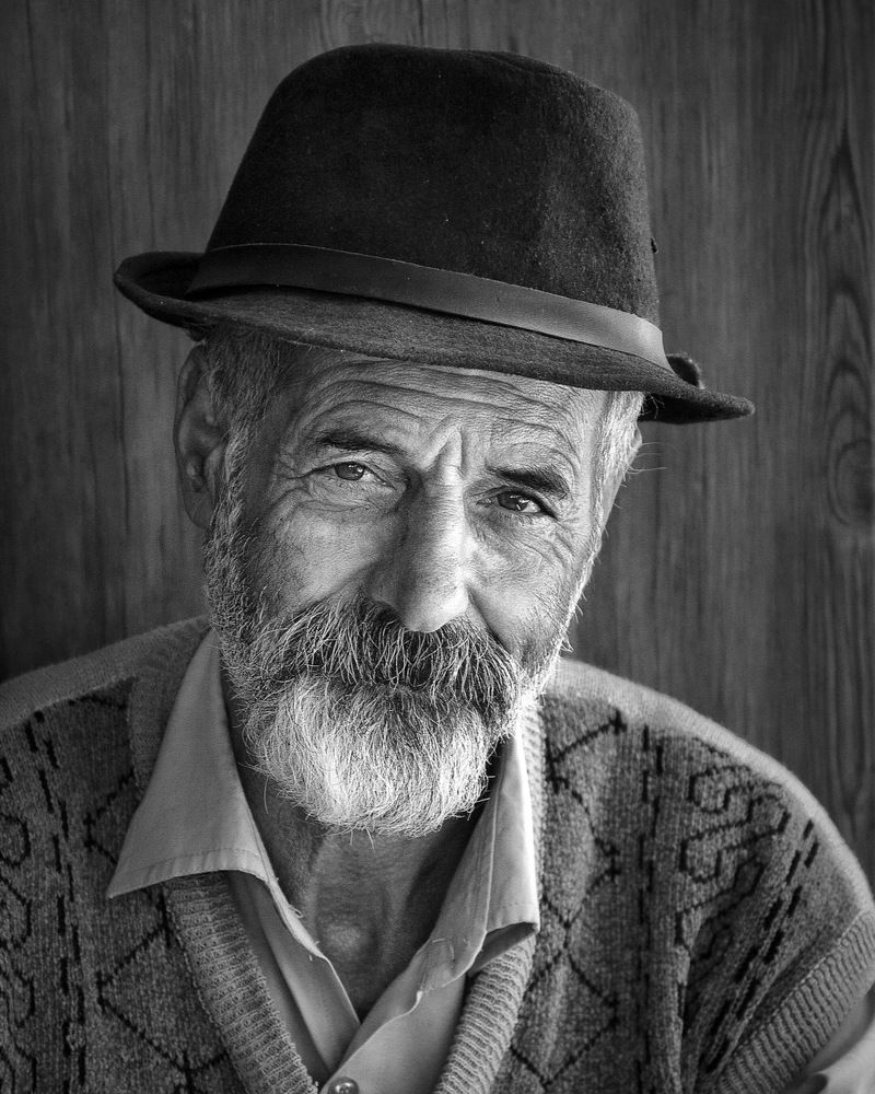 Photograph by mehdi shirvani