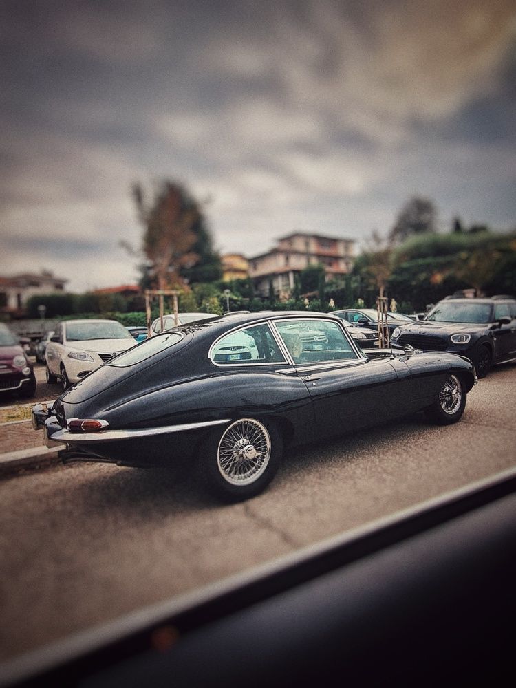 Photograph by Yulia Bilato