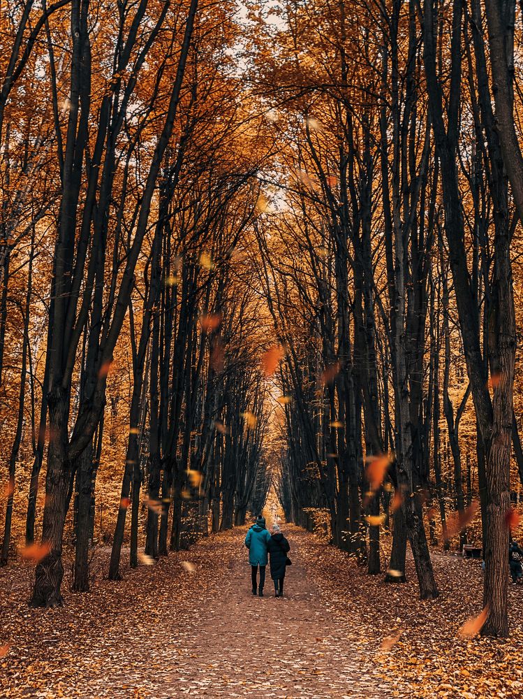 Photograph by Анастасия Каланакова