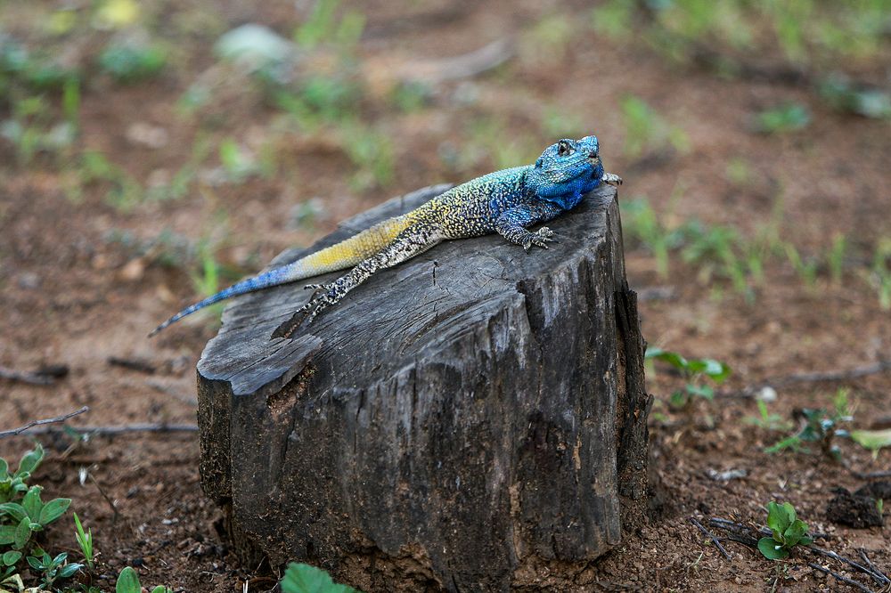 Photograph by Midge Engelbrecht