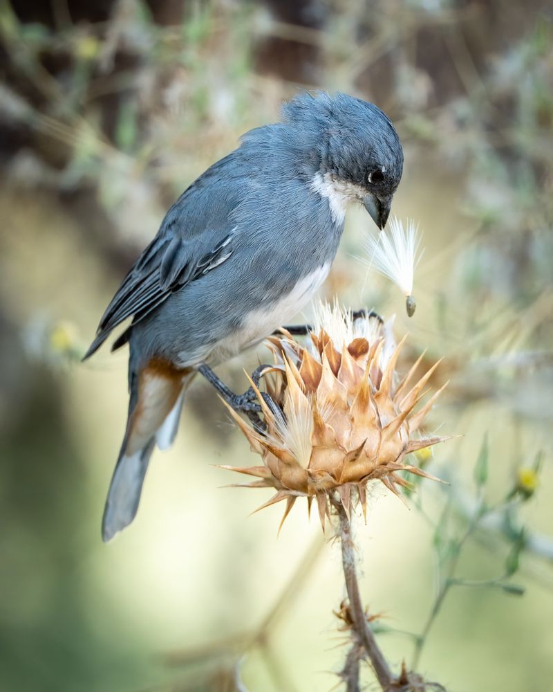 Photograph by Cifuentes Alejandro