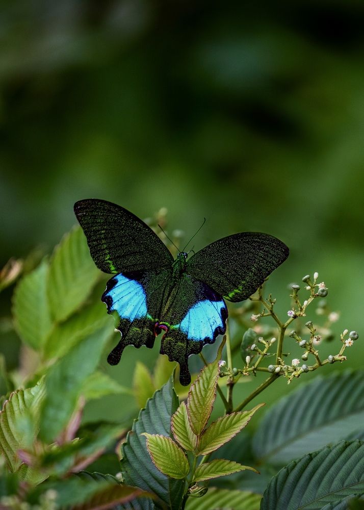 Photograph by Dhananjay Jadhav