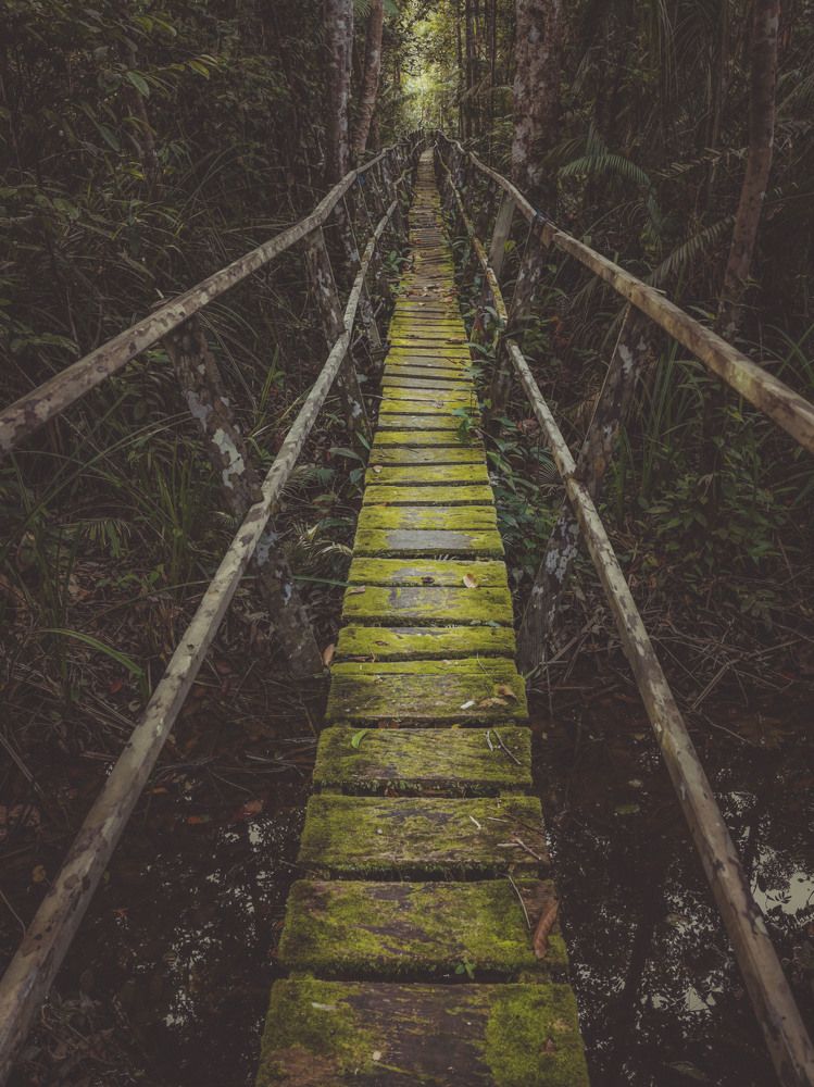 Фотография автора Anil Prabhakar