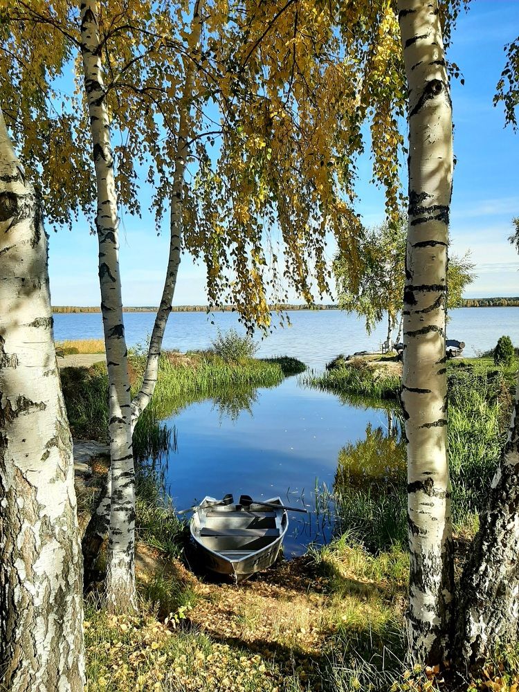 Фотография автора Наталья Гаврилова