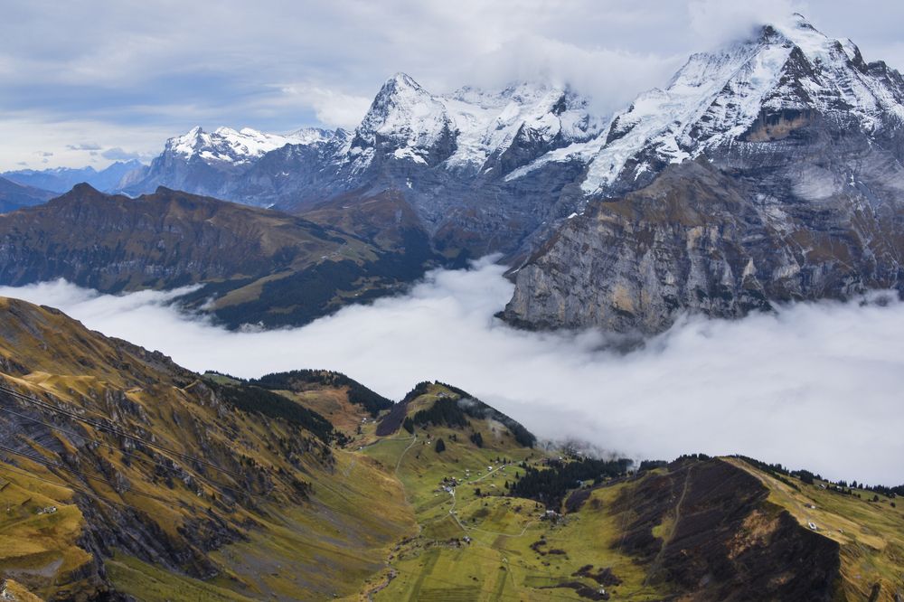 Photograph by Noe Castro