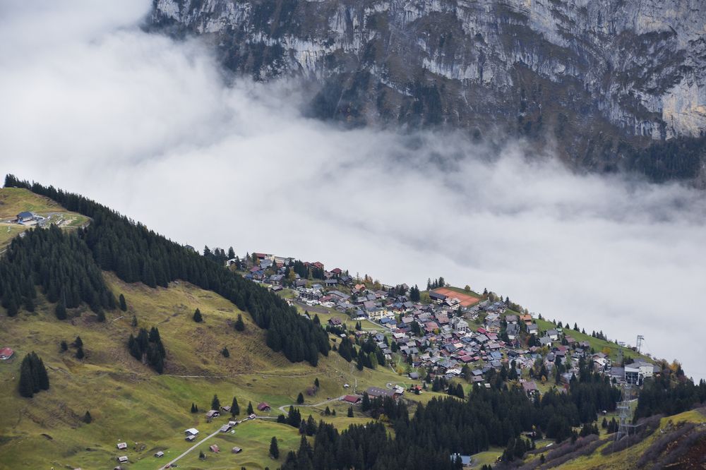 Photograph by Noe Castro