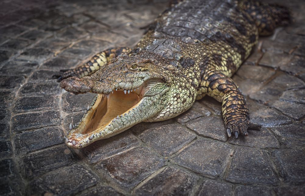 Photograph by Ильдар Шангараев