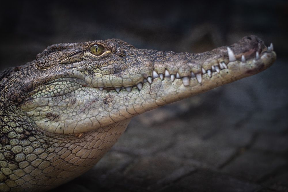 Photograph by Ильдар Шангараев