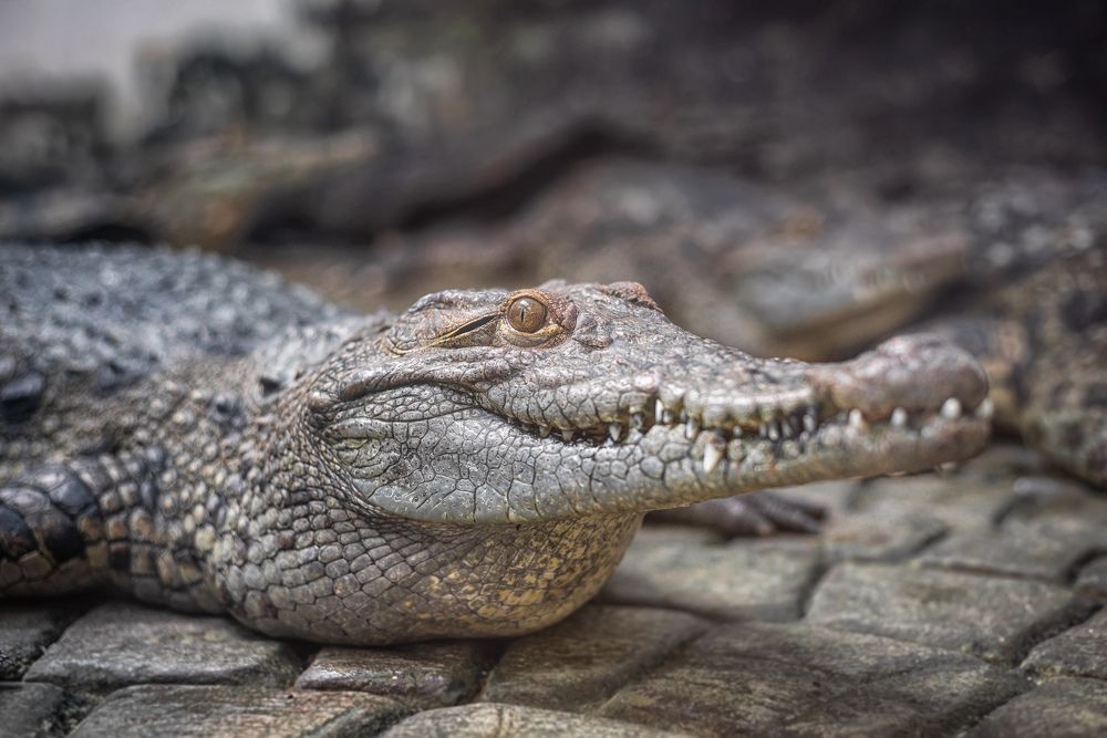 Photograph by Ильдар Шангараев