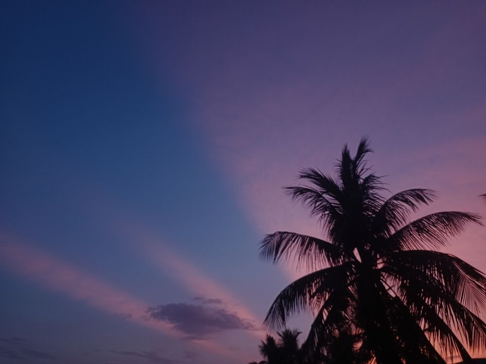 Photo #9229520
