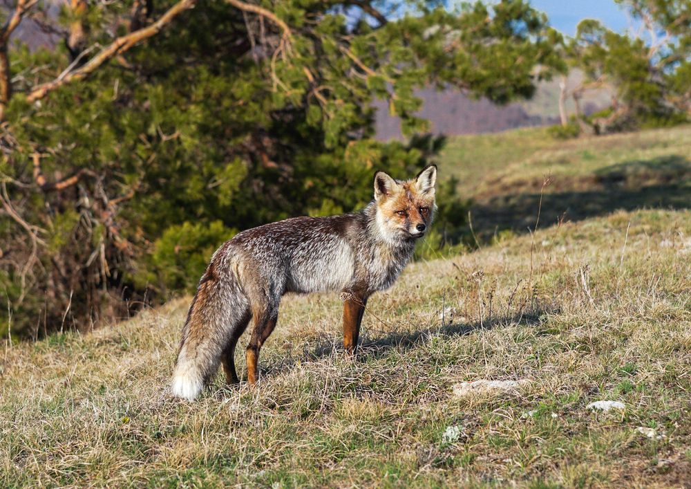 Photograph by Владимир Орлов