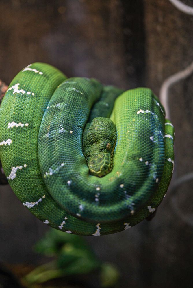 Photograph by Владимир Орлов