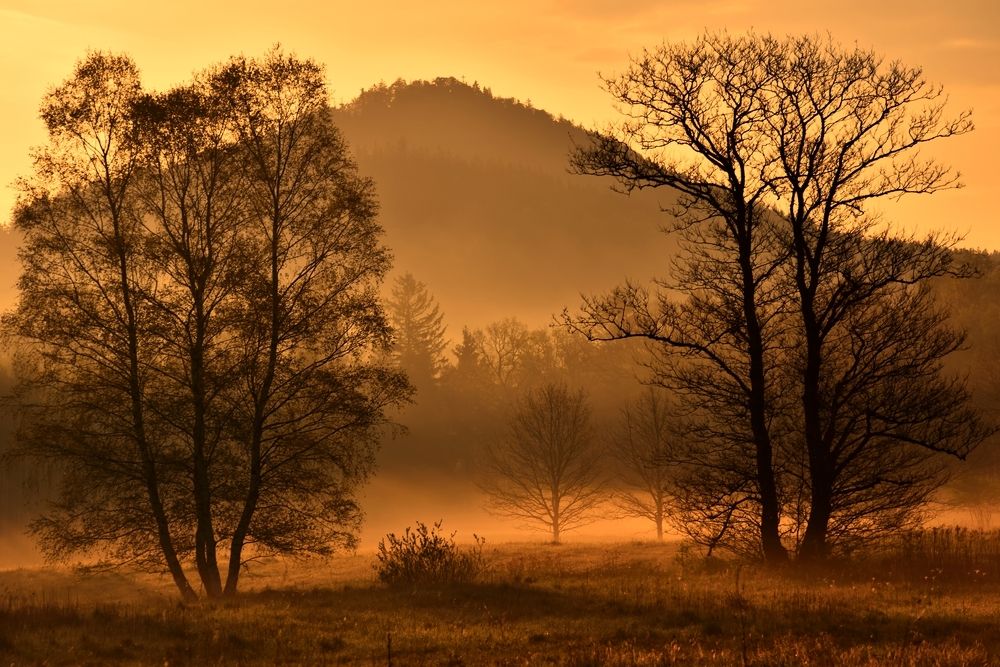 Photograph by Maciej Wydmuch