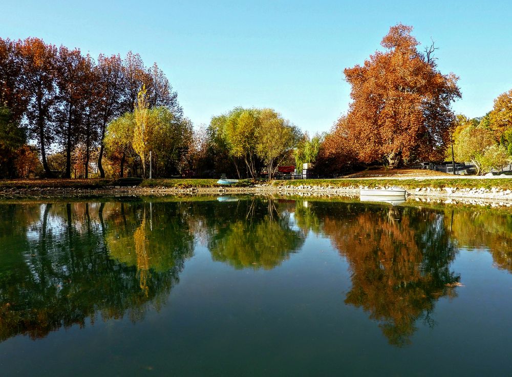 Фотография автора reza ahmadi