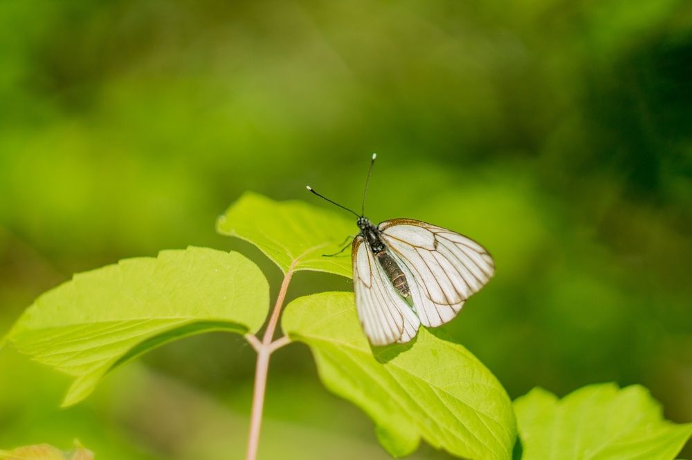 Фотография автора Ivan Karpoff