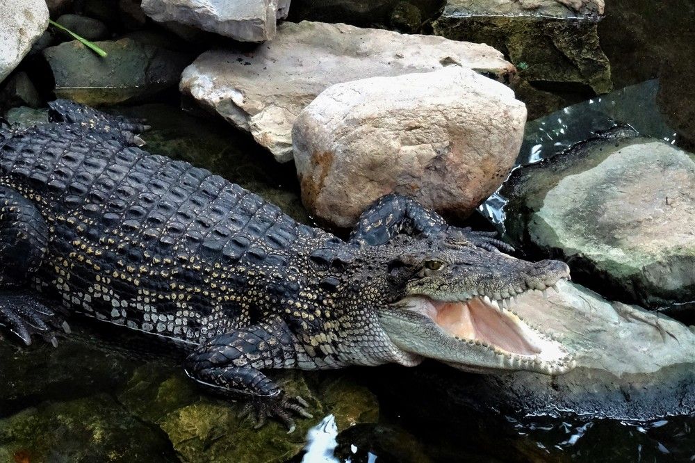 Photograph by Марина Раткун