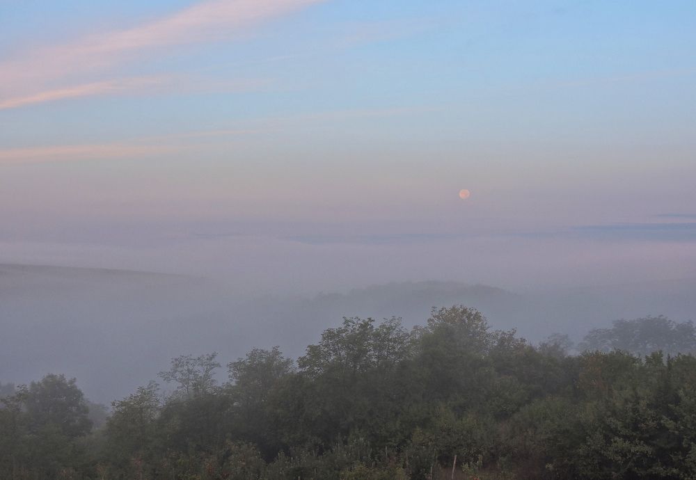 Photograph by Александр Захаров