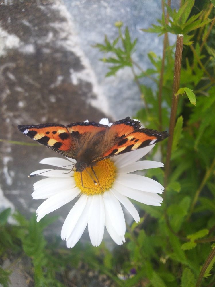 Photograph by Наталья Шулятина