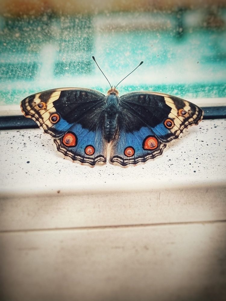 Photograph by Nidhi Singh