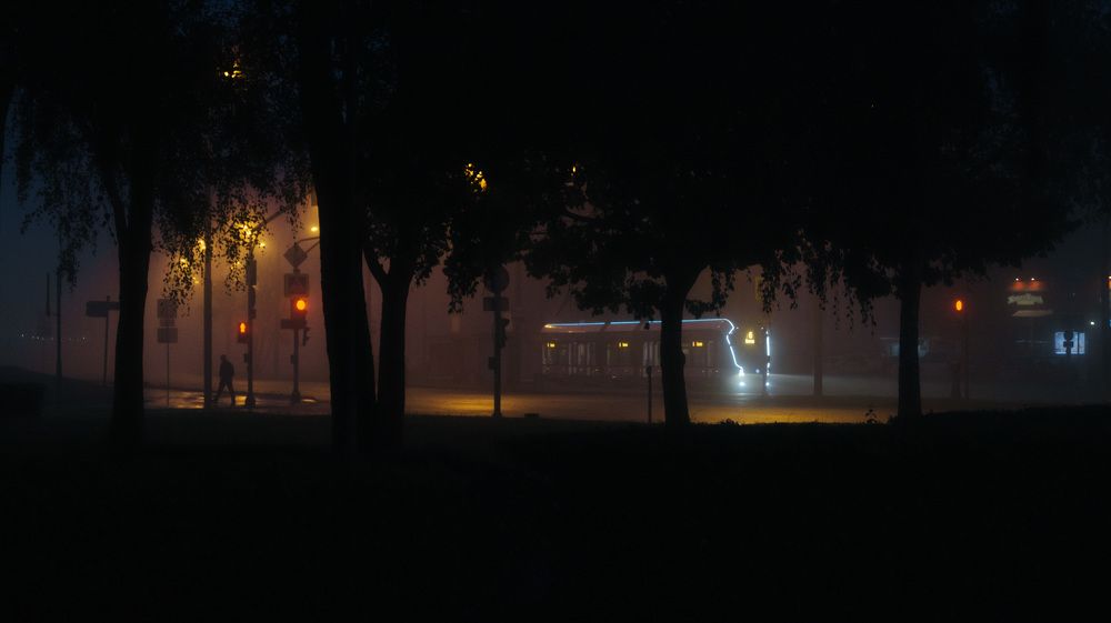 Photograph by Анастасия Костылева