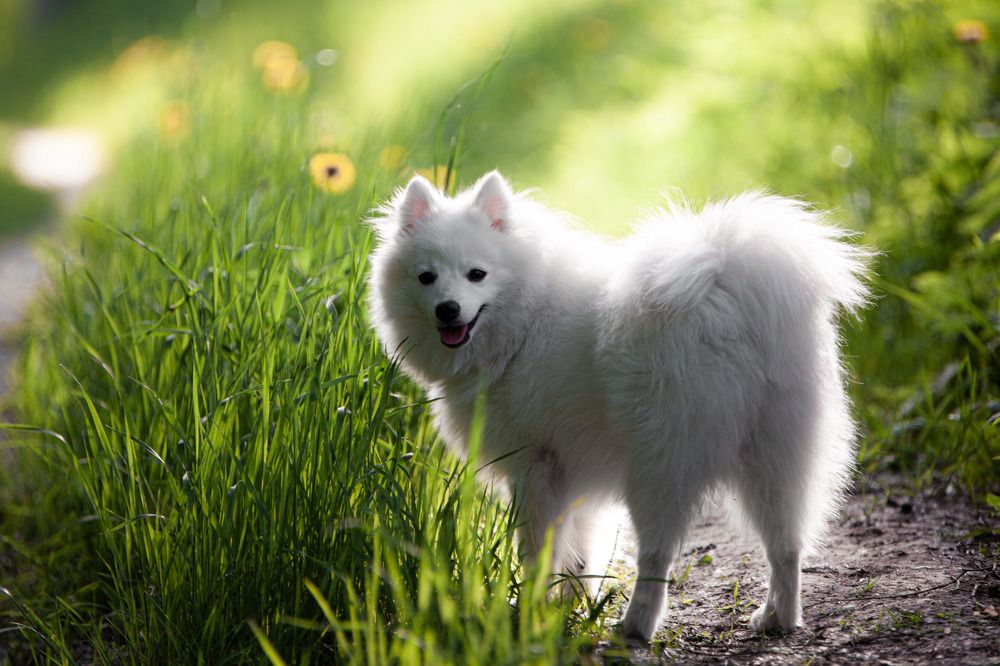 Фотография автора Фёдор Баронов