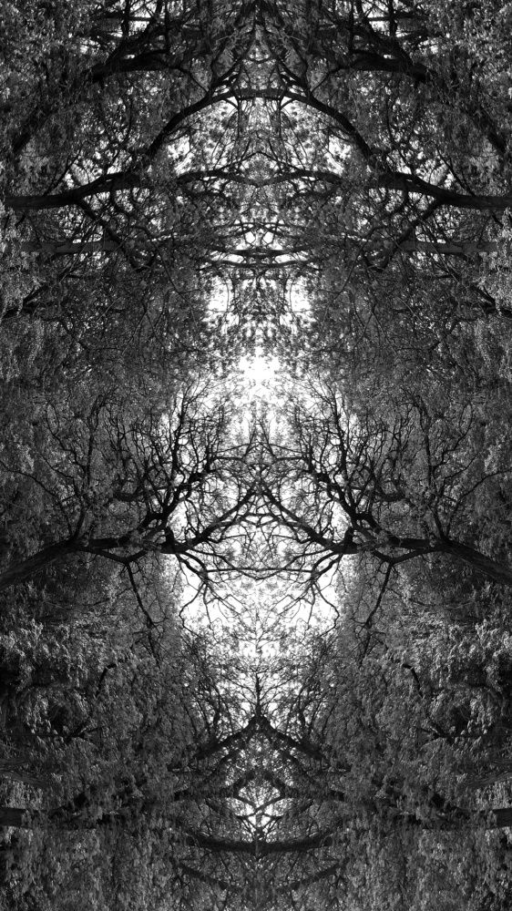 Photograph by Анна Матецкая