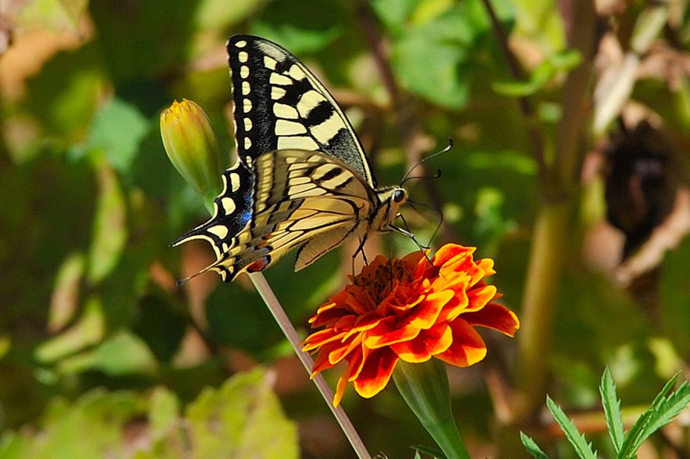 Photograph by Mihalis Konstantinidis