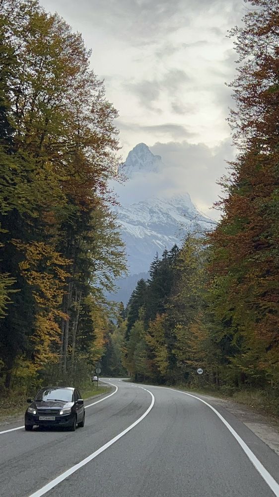 Фотография автора Юлия Недосекина