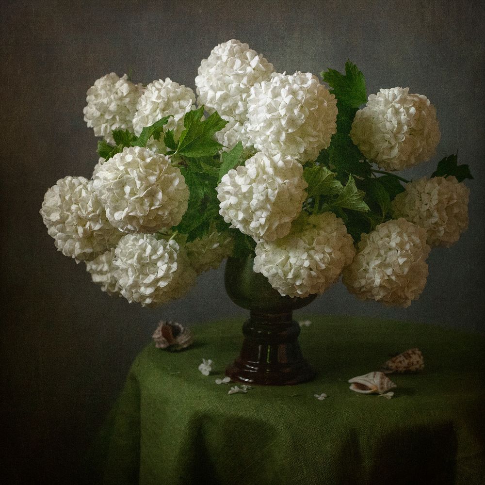 Весна в мой дом вошла