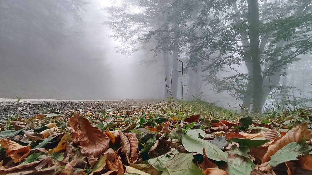 Photograph by Javad Tafti Farashah