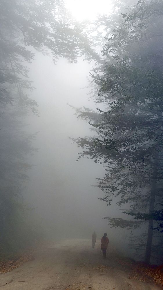 Photograph by Javad Tafti Farashah