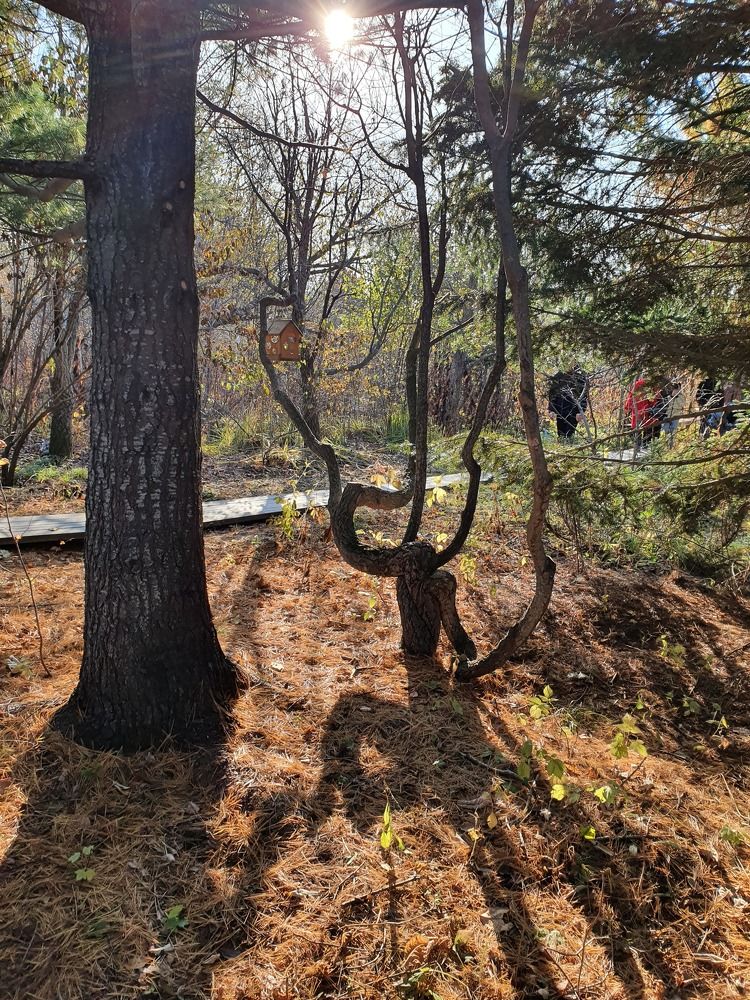 Photograph by Жанна Регор