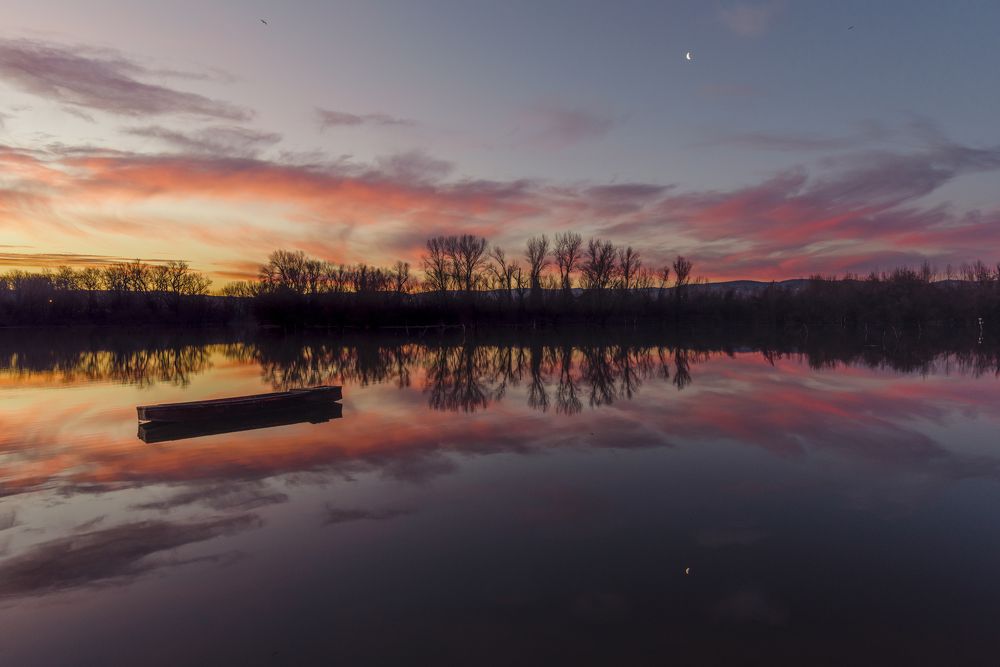 Photograph by Dejan Zakic