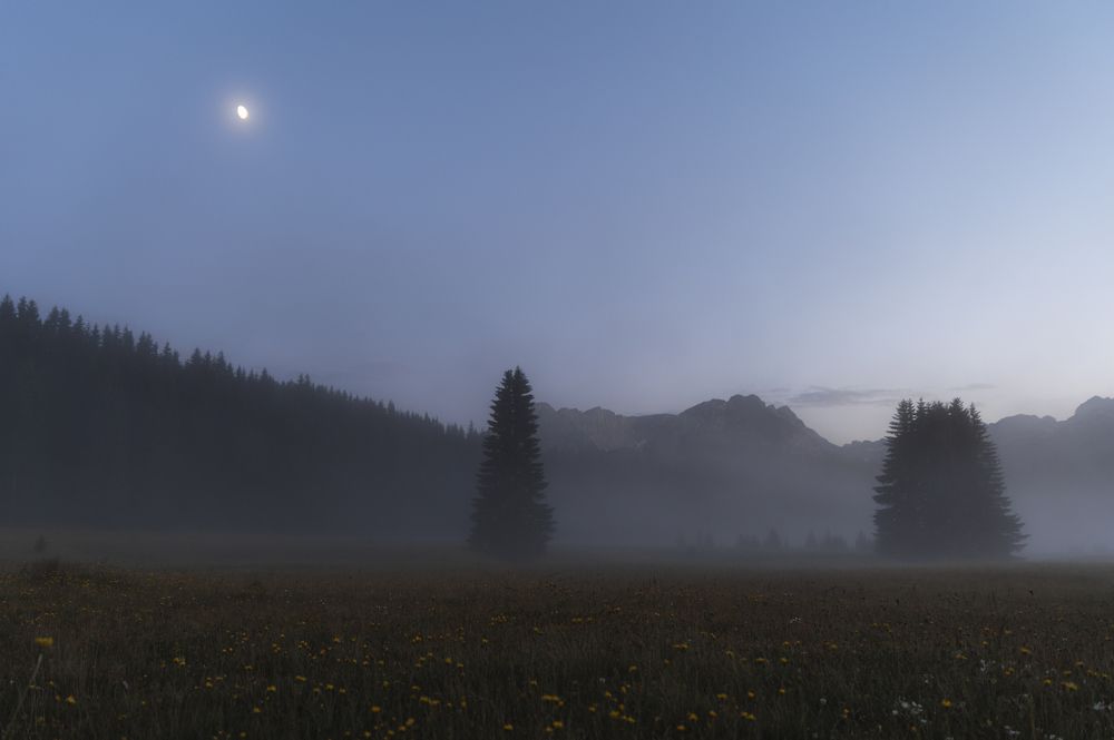 Photograph by Dejan Zakic