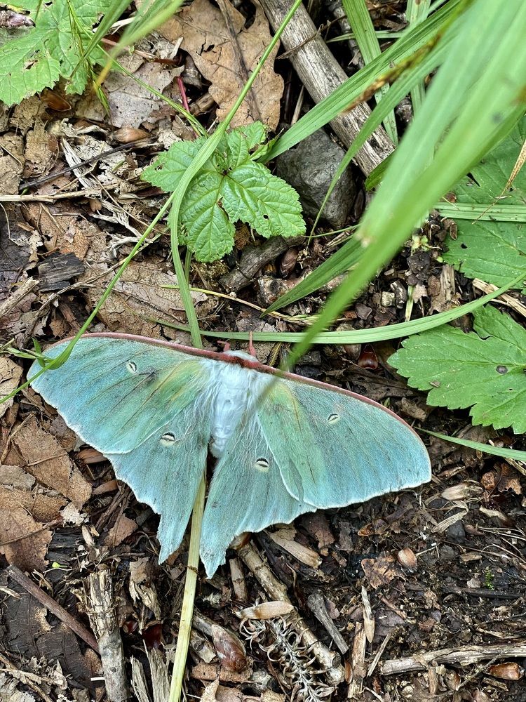 Фотография автора Юлия Недосекина