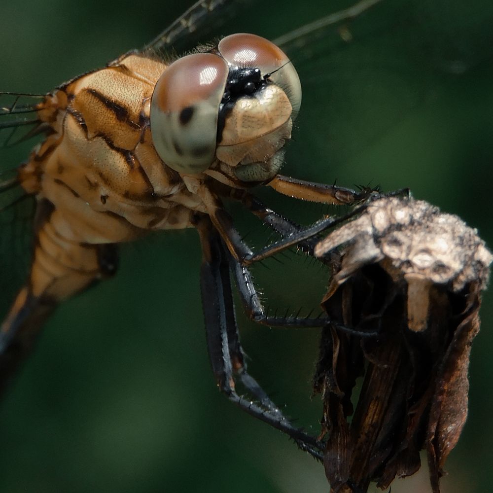 Photograph by ALPHY KR